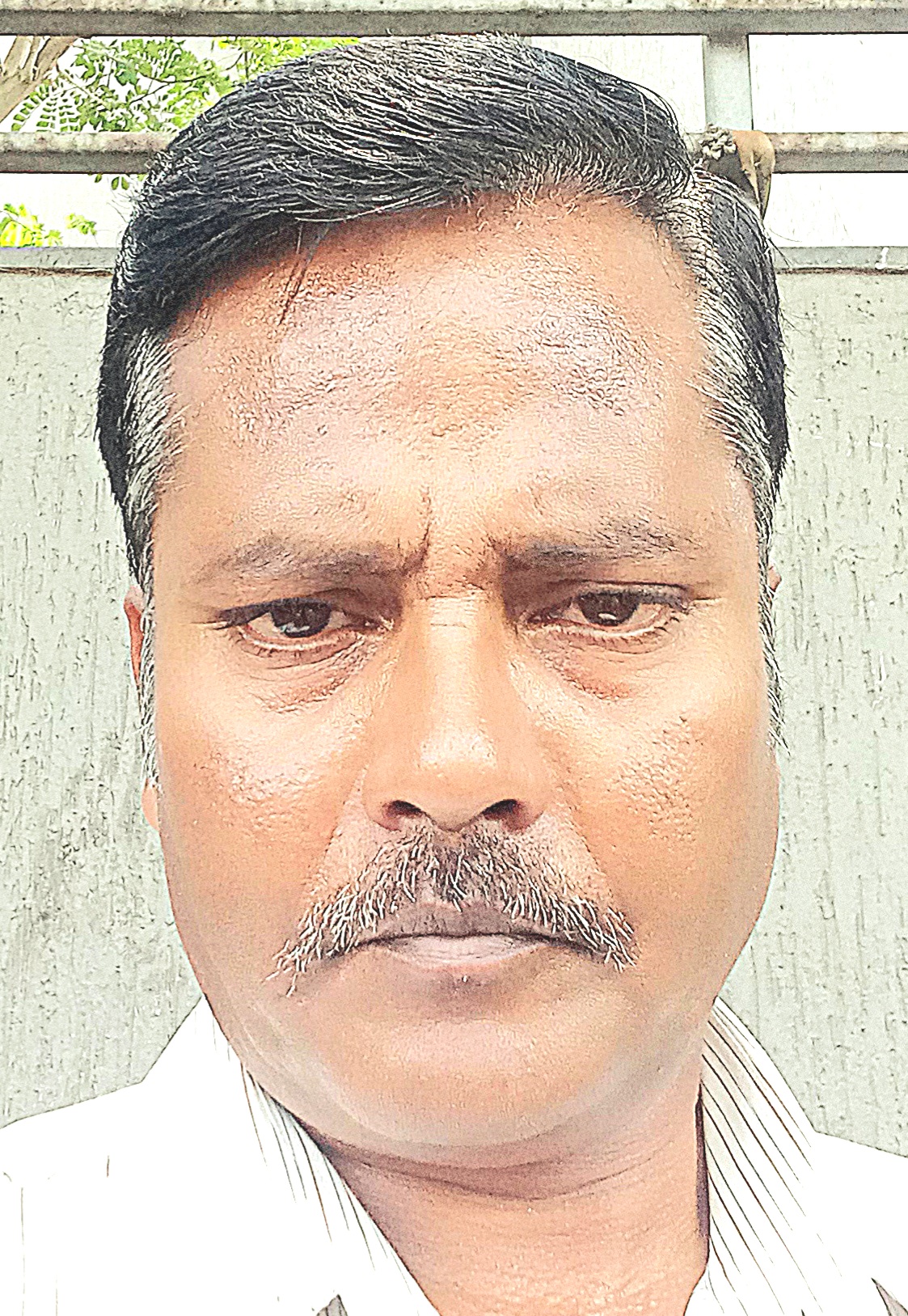 DEVENDRA SINGH S SENGAR 